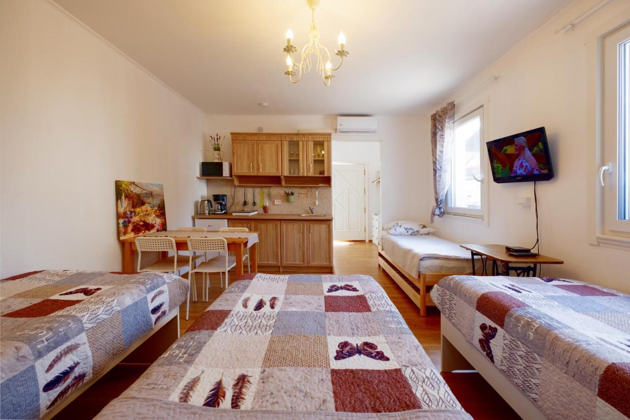 Eco-Lux Apart With Free Bicycles End Free Parking 류블랴나 외부 사진